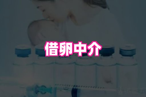 南京助孕网 2