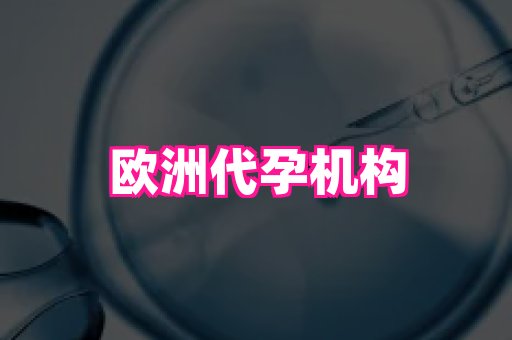南京助孕网 4